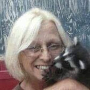 Meet your Posher, Lorrie